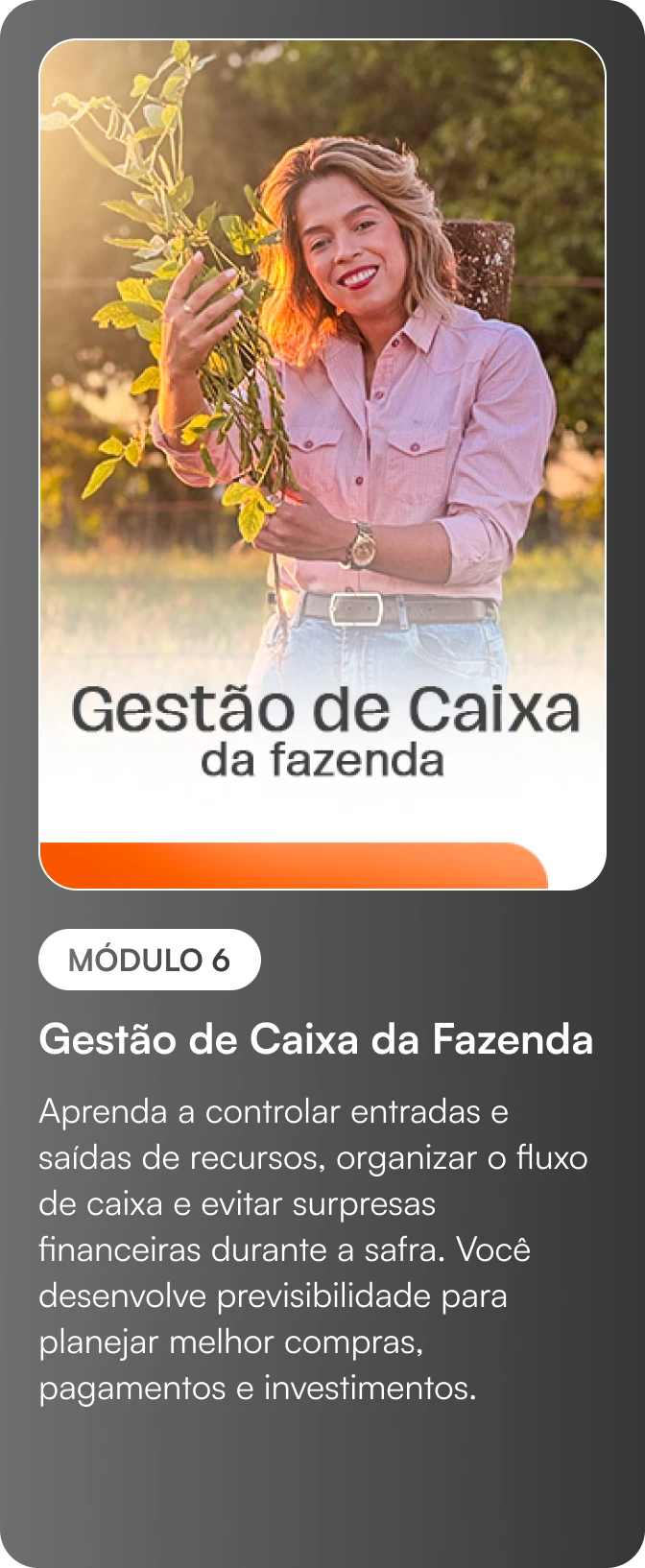 6_2x-4.webp
